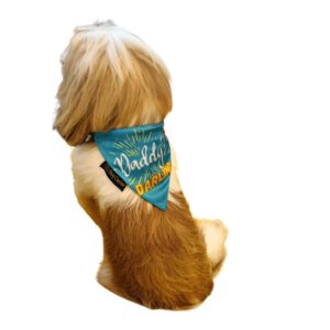 Shop Canine Bandanas I Dads darling I Pet Scarf (Grey Hearts, M)