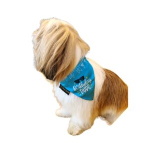 Quirky Birthday Dog Wrinkle Free Bandana