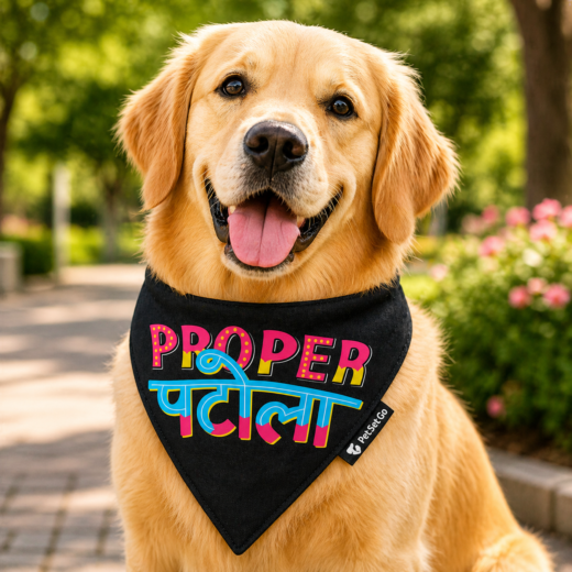 Bandana Scarf | Proper Patola (S)