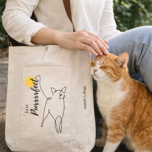 Canvas Tote Bags | Eco-friendly I Washable I Strong I Stylish I Nylon adjustable strap I College students I Shopping bag
